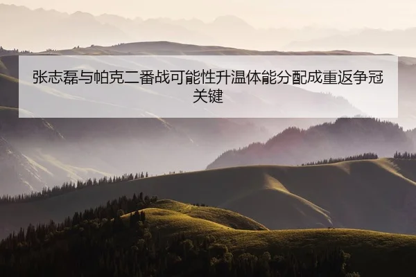 张志磊与帕克二番战可能性升温体能分配成重返争冠关键