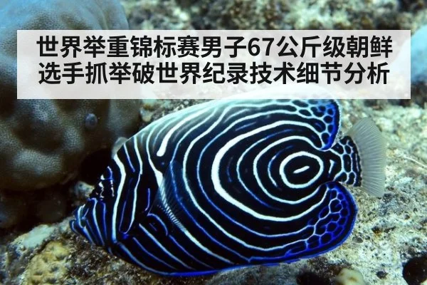 世界举重锦标赛男子67公斤级朝鲜选手抓举破世界纪录技术细节分析