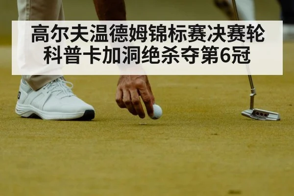 高尔夫温德姆锦标赛决赛轮 科普卡加洞绝杀夺第6冠