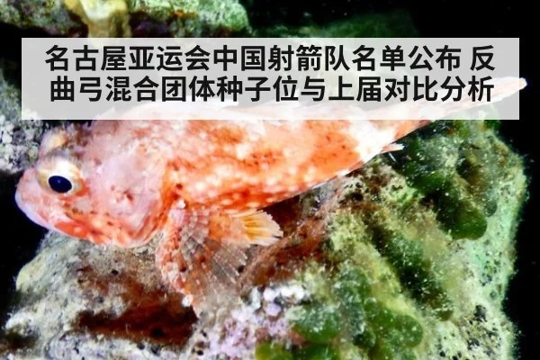 名古屋亚运会中国射箭队名单公布 反曲弓混合团体种子位与上届对比分析