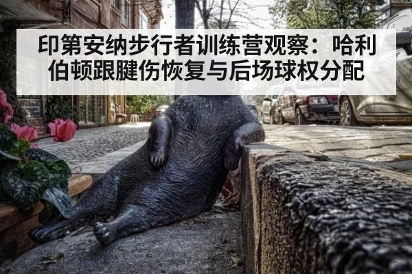 印第安纳步行者训练营观察：哈利伯顿跟腱伤恢复与后场球权分配